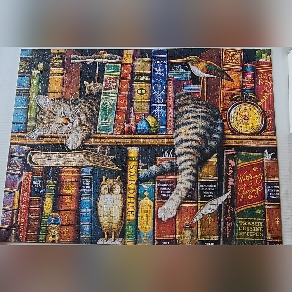 Buffalo Frederick the Literate 750pc Puzzle - Picture 2 of 4